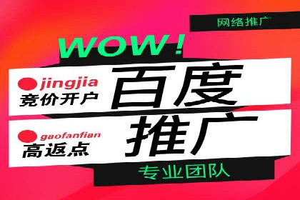 百度推广案例：从零到一的SEO优化之路